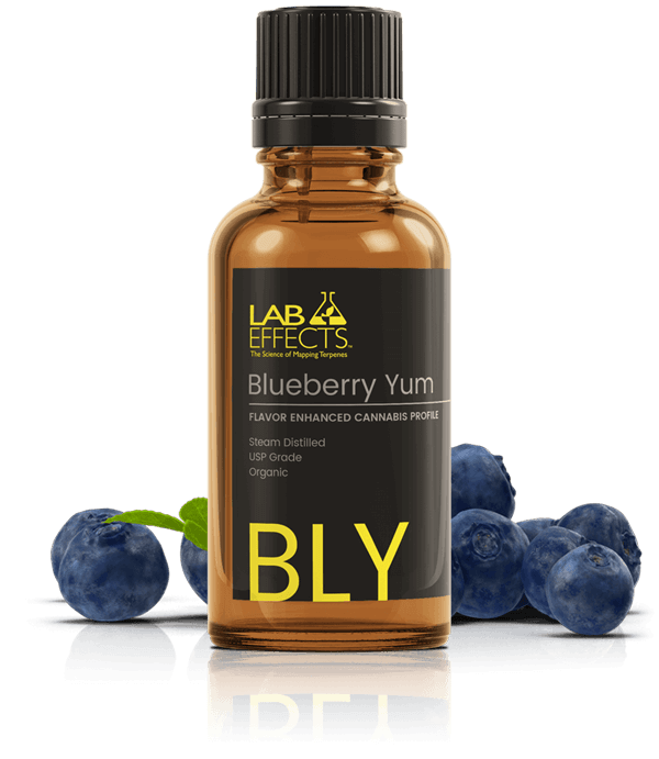Lab Effects Flavor Enhanced Blueberry Yum CBD Global