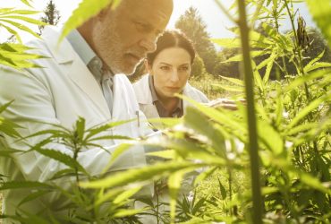 Debunking 4 Misconceptions About CBD
