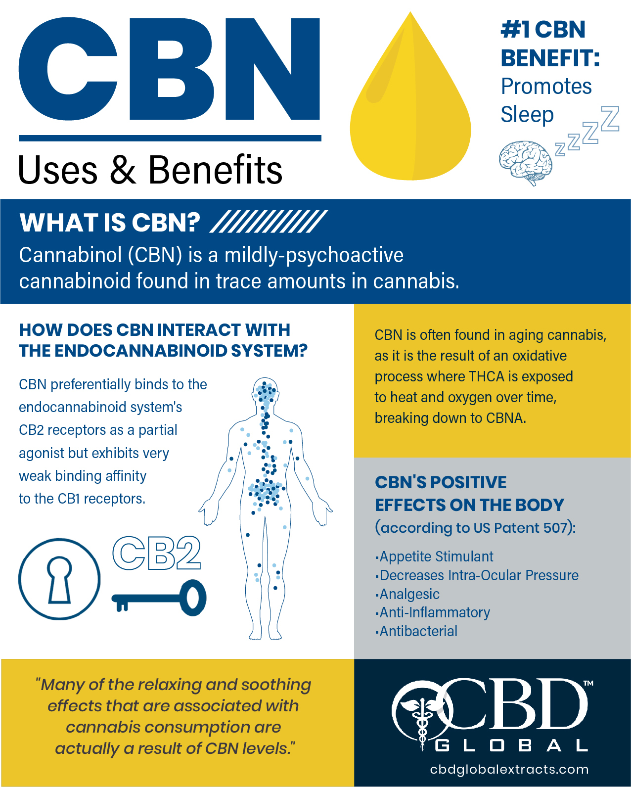 what is CBN cannabinol cbd global
