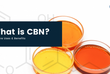 Exploring CBN’s Uses & Benefits